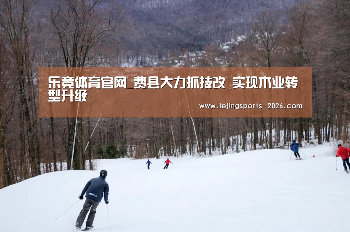 乐竞体育官网_费县大力抓技改 实现木业转型升级(图2) 乐竞体育官网_费县大力抓技改 实现木业转型升级(图2)